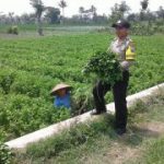 Anggota Binmas Polsek Junrejo Polres Batu Kunjungi Para Petani Desa Binaan