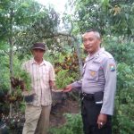 Polsek Bumiaji Polres Batu Sambang Petani Sayur