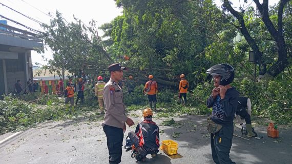 Quick Response Polres Batu dan Instansi Terkait Evakuasi Pohon Tumbang di Jalan Patimura